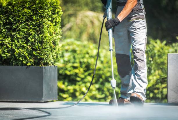 Best Sidewalk and Walkway Cleaning  in Conroe, TX