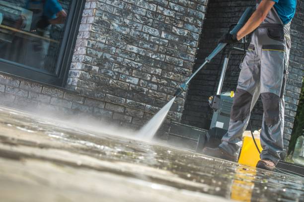 Animal Enclosure Cleaning in Conroe, TX